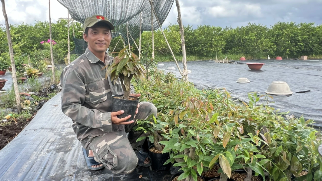 Mô hình kinh doanh mai vàng kết hợp bán phân, thuốc bảo vệ thực vật giúp anh Nhanh có thu nhập ổn định.
